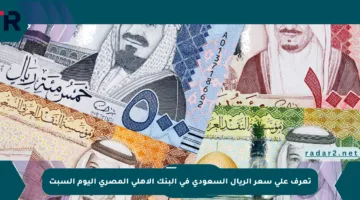 تعرف على سعر الريال السعودي في البنك الأهلي المصري اليوم السبت